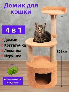 Слайд 3